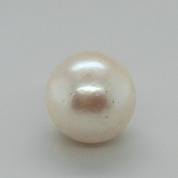 Pearl  (Moti) 8.05 Ct Gem Quality